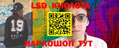 крисы Будённовск