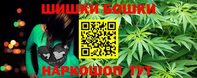 крисы Будённовск