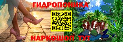 крисы Будённовск