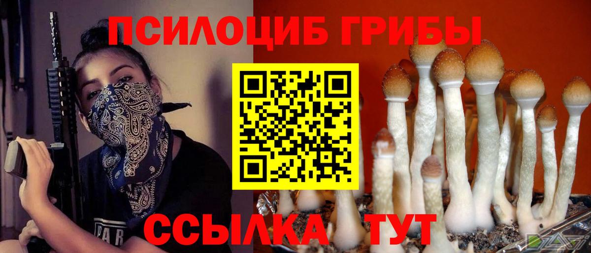 Псилоцибиновые грибы Psilocybine cubensis Мичуринск