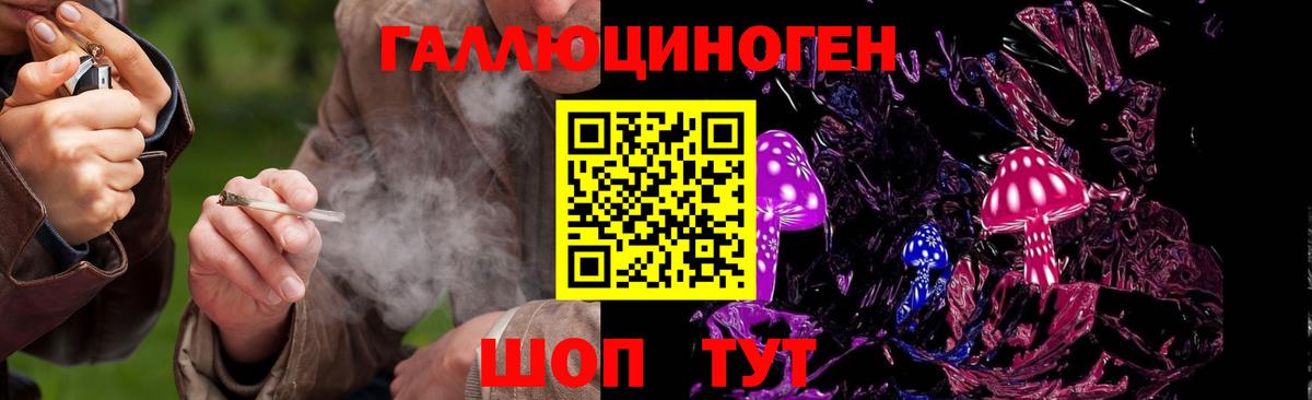 где продают наркотики  Псилоцибиновые грибы мицелий  Вход с VPN  Мичуринск  Галлюциногенные грибы Psilocybine cubensis 