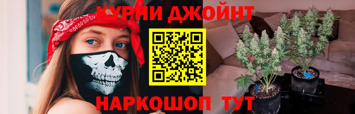 МАРИХУАНА марихуана Мичуринск